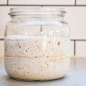 Sourdough Starter Not Rising (Plus Other Common Issues)