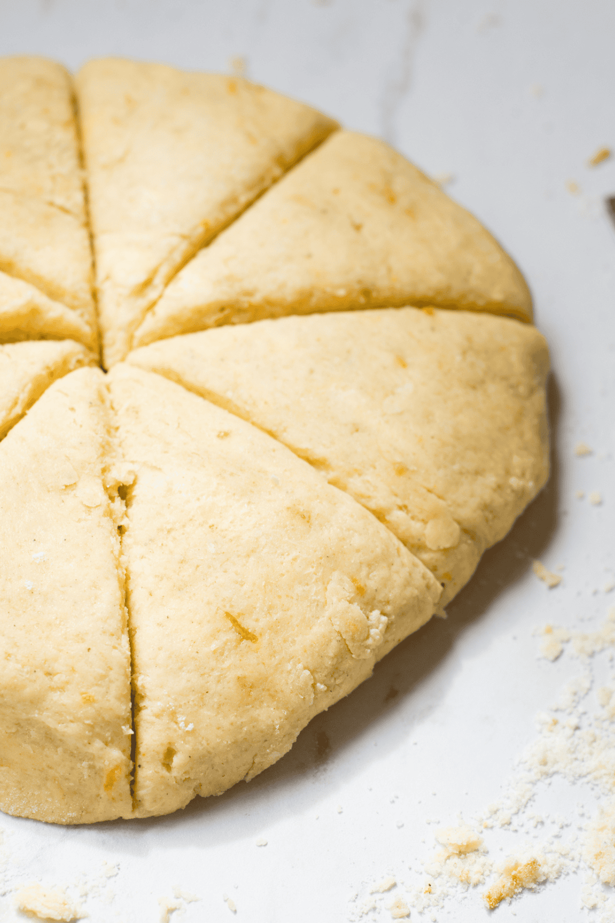 A round disk of unbaked homemade scones dough, speckled with orange bits, is cut into eight triangular wedges on a lightly floured white surface.