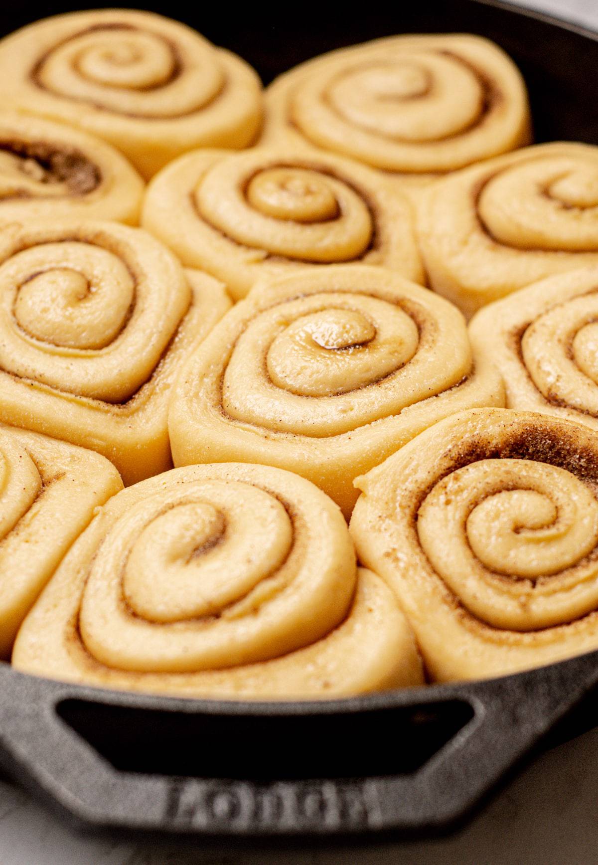 a cast iron pan with risen dough rolls filled with cinnamon sugar