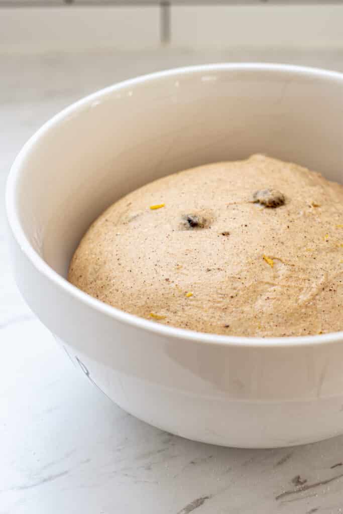 a bowl of dough with flecks of zest and raisins