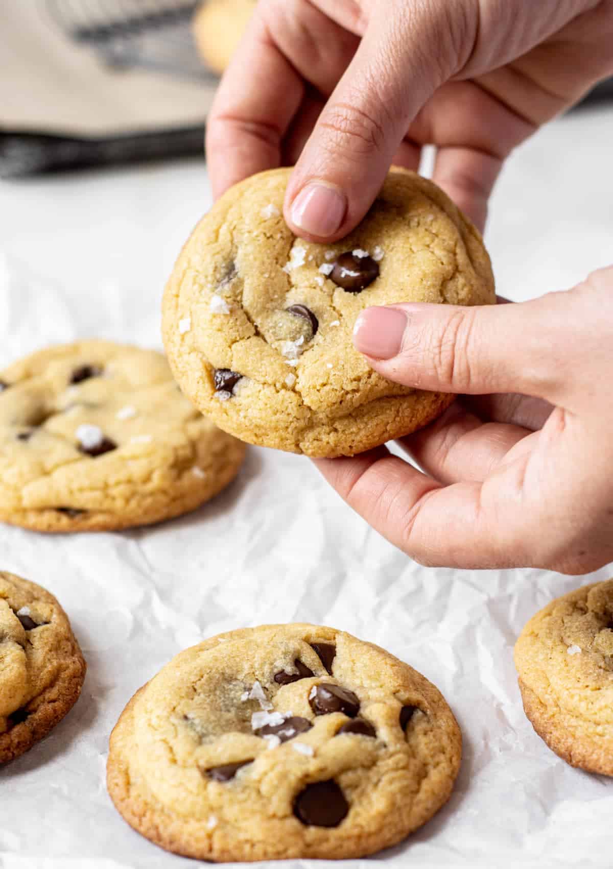 A Chocolate Chip Cookie Without Brown Sugar is held above a tray with other cookies.