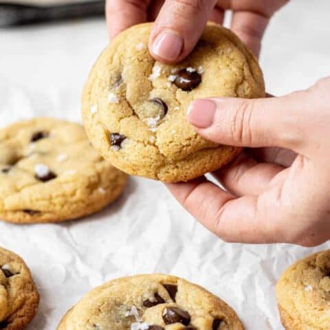 Hand holding choc chip cookie