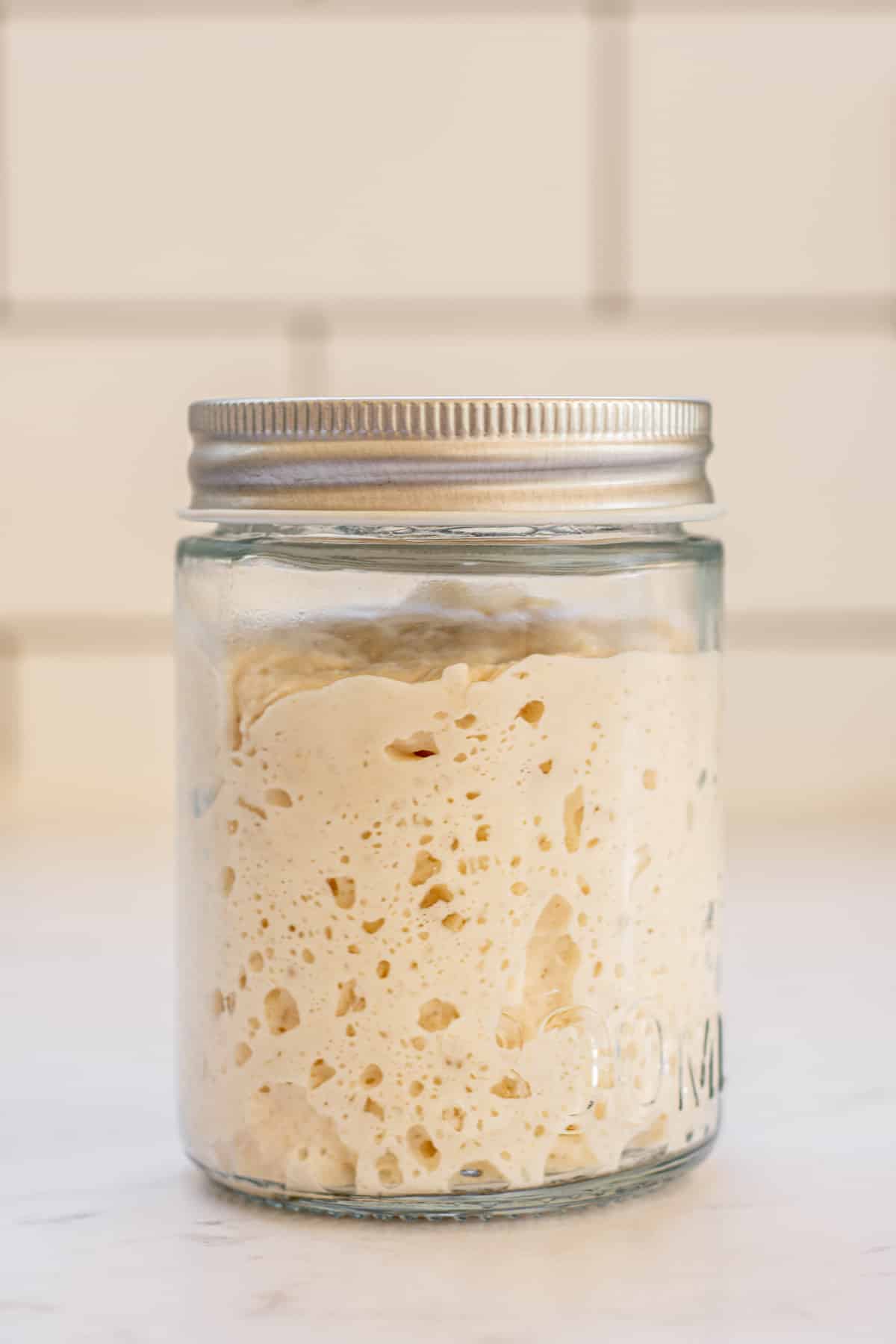 stiff sourdough starter