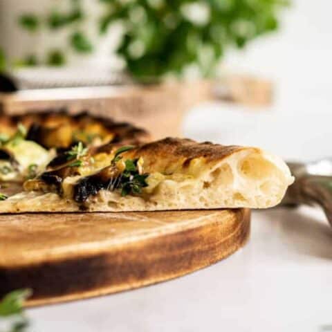 pizza slice.