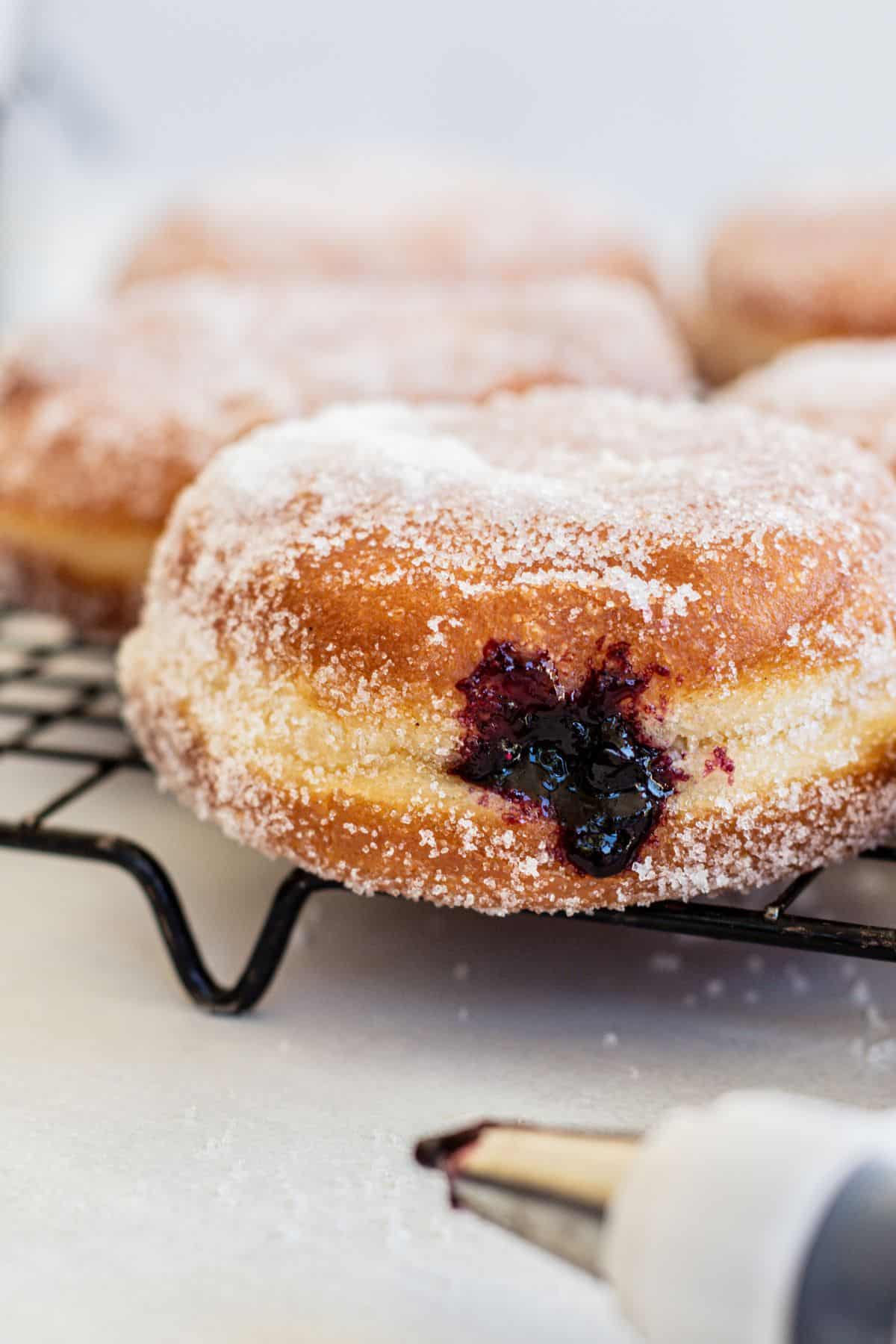 blueberry filled donuts.