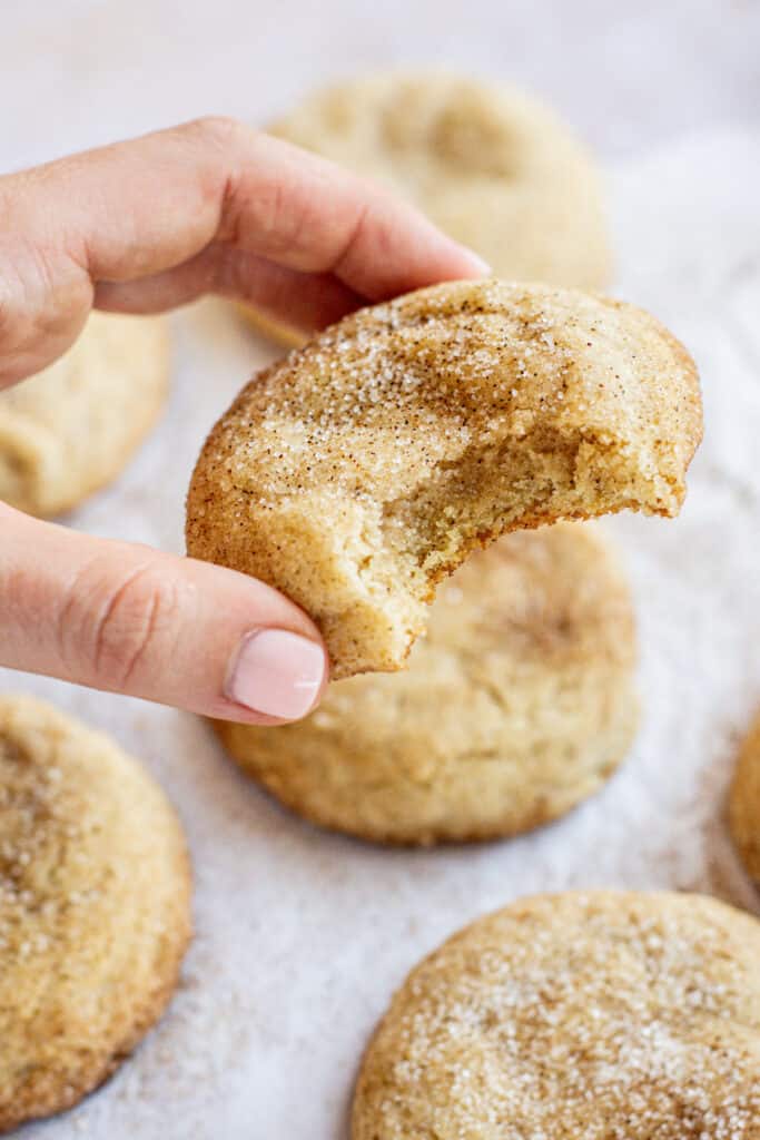 hand holding a bitten snickerdoodle.