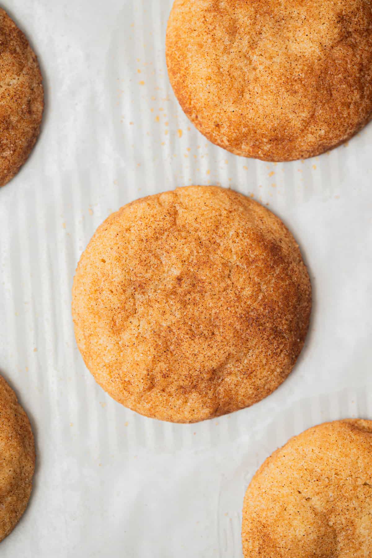 Close-up of several round Small-Batch Snickerdoodles sprinkled with cinnamon sugar, arranged on a sheet of white parchment paper.