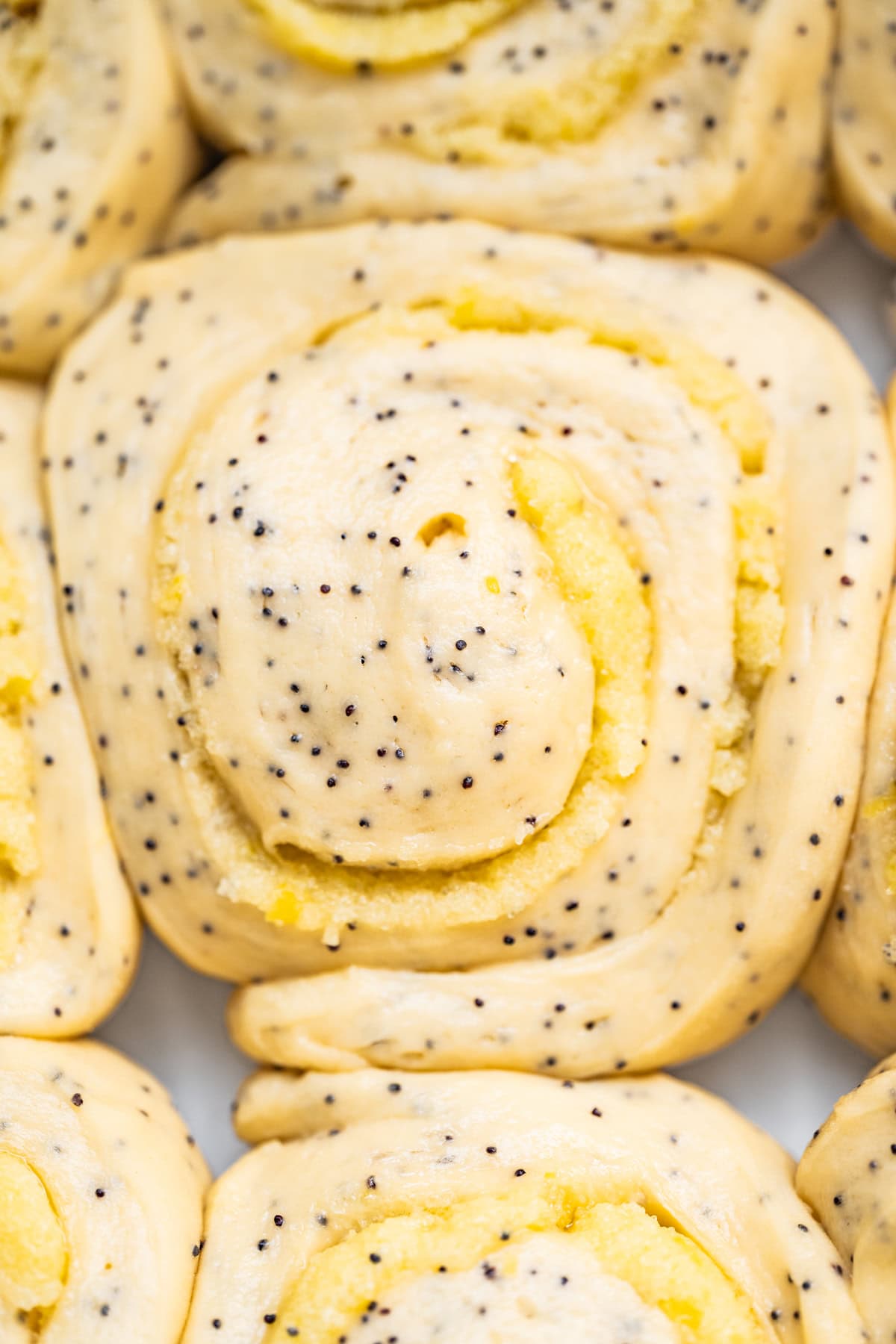 Close-up of lemon poppy seed rolls, featuring a soft, swirled dough with visible poppy seeds and a light yellow lemon filling. The freshly baked rolls highlight the classic blend of citrus flavor and rich texture.