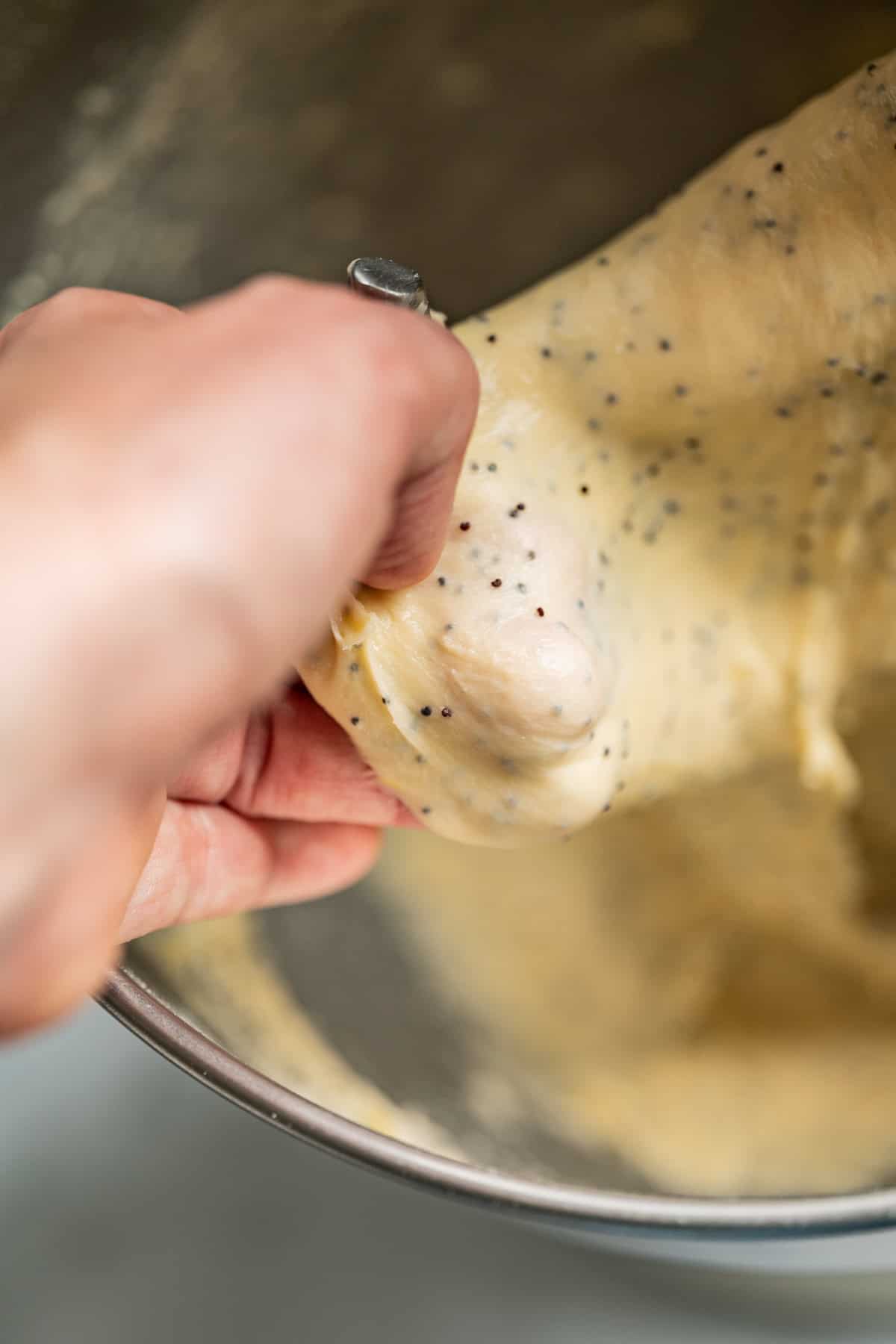 A hand stretches a piece of speckled dough, destined for lemon poppy seed rolls, over a mixing bowl. The elastic, smooth dough is dotted with poppy seeds.