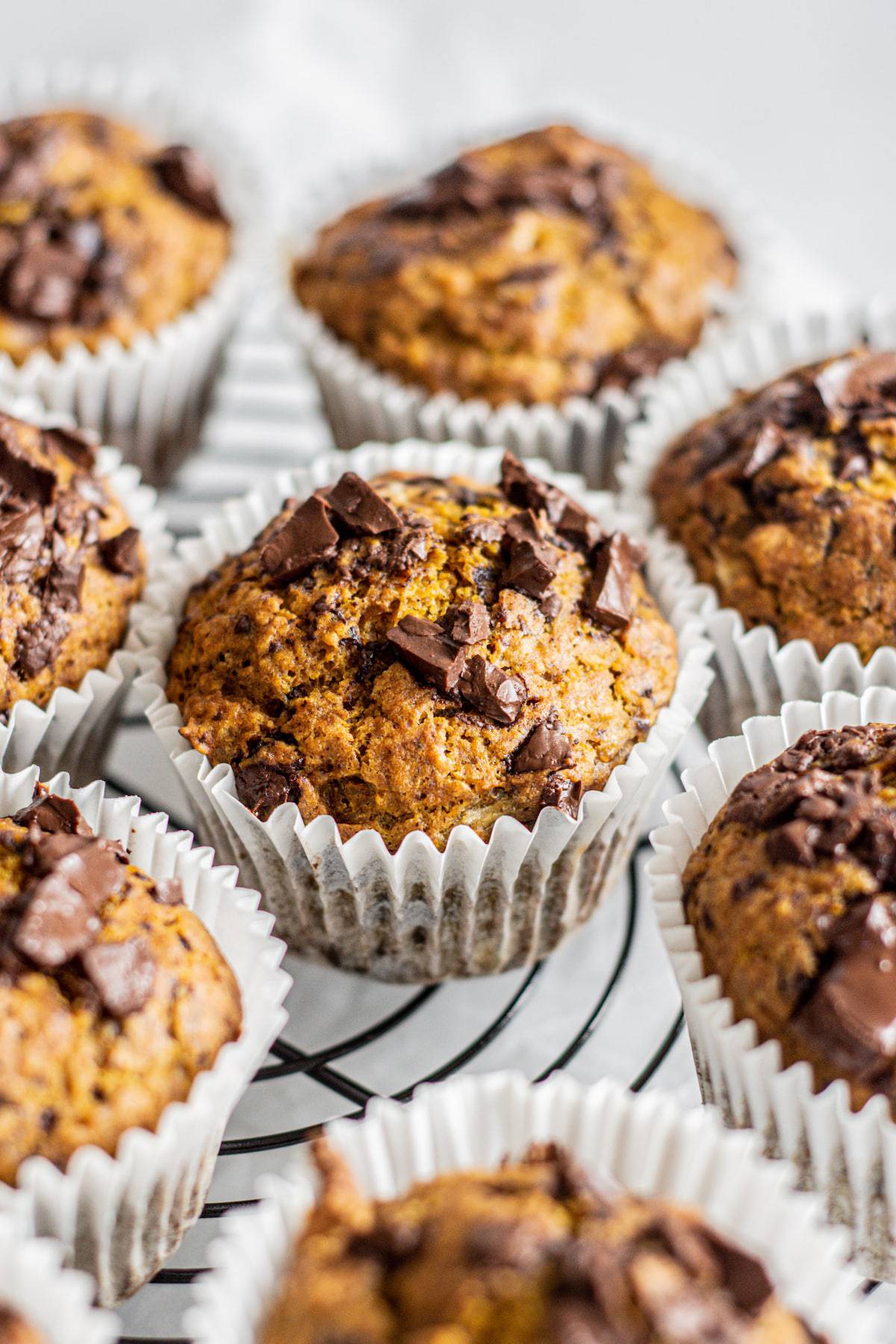 side views of banana pumpkin muffins topped with chocolate chunks.