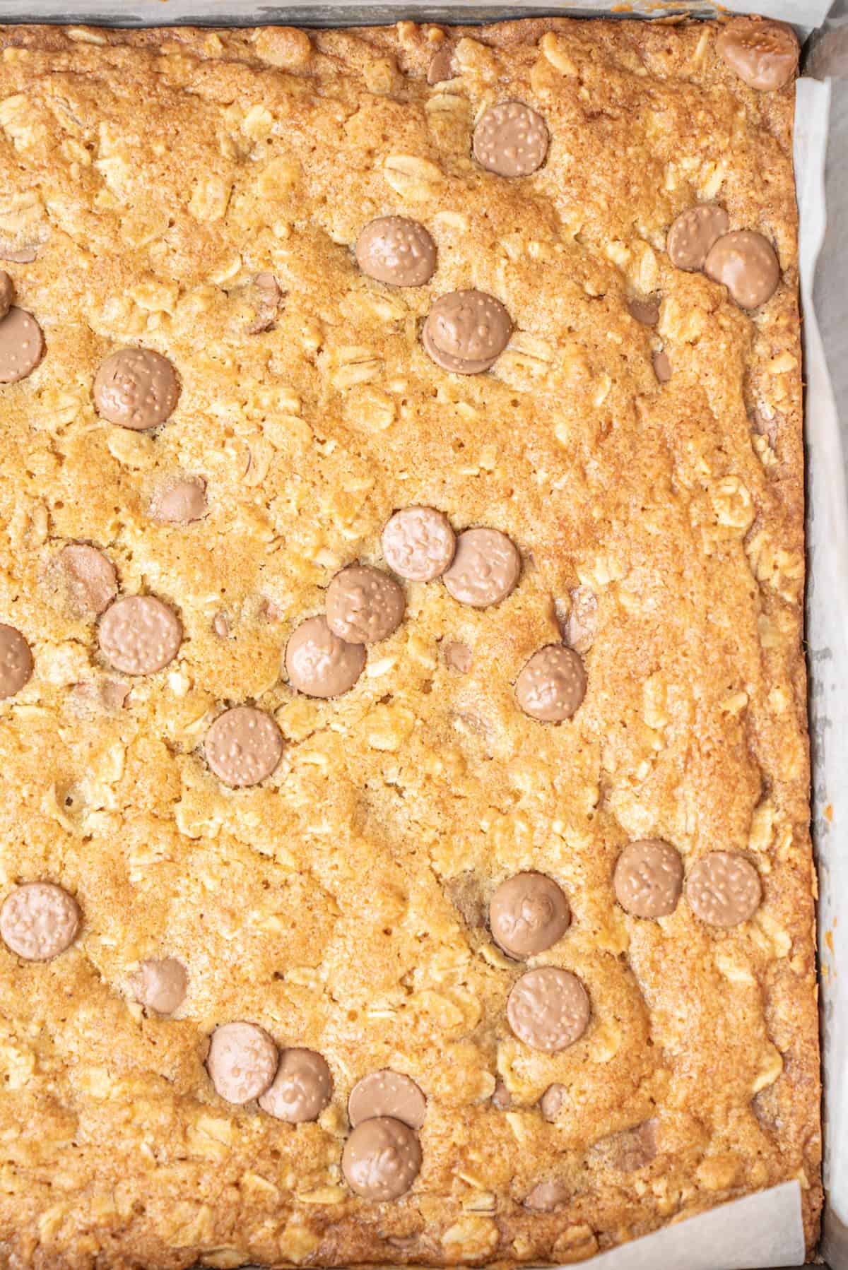 Oatmeal chocolate chip bars in a baking pan topped with milk chocolate chips.