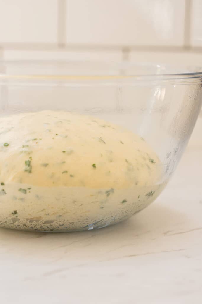 dough rising in a bowl.