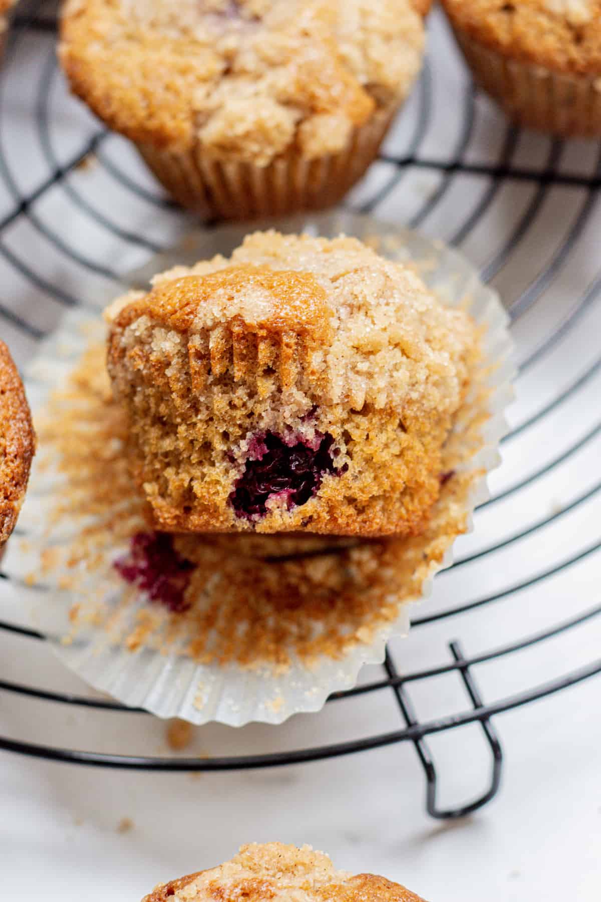 blackberry muffin.
