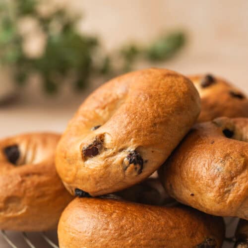 A close-up of a stack of golden-brown cinnamon raisin bagels resting on a wire cooling rack. There is a blurred green plant in the background.