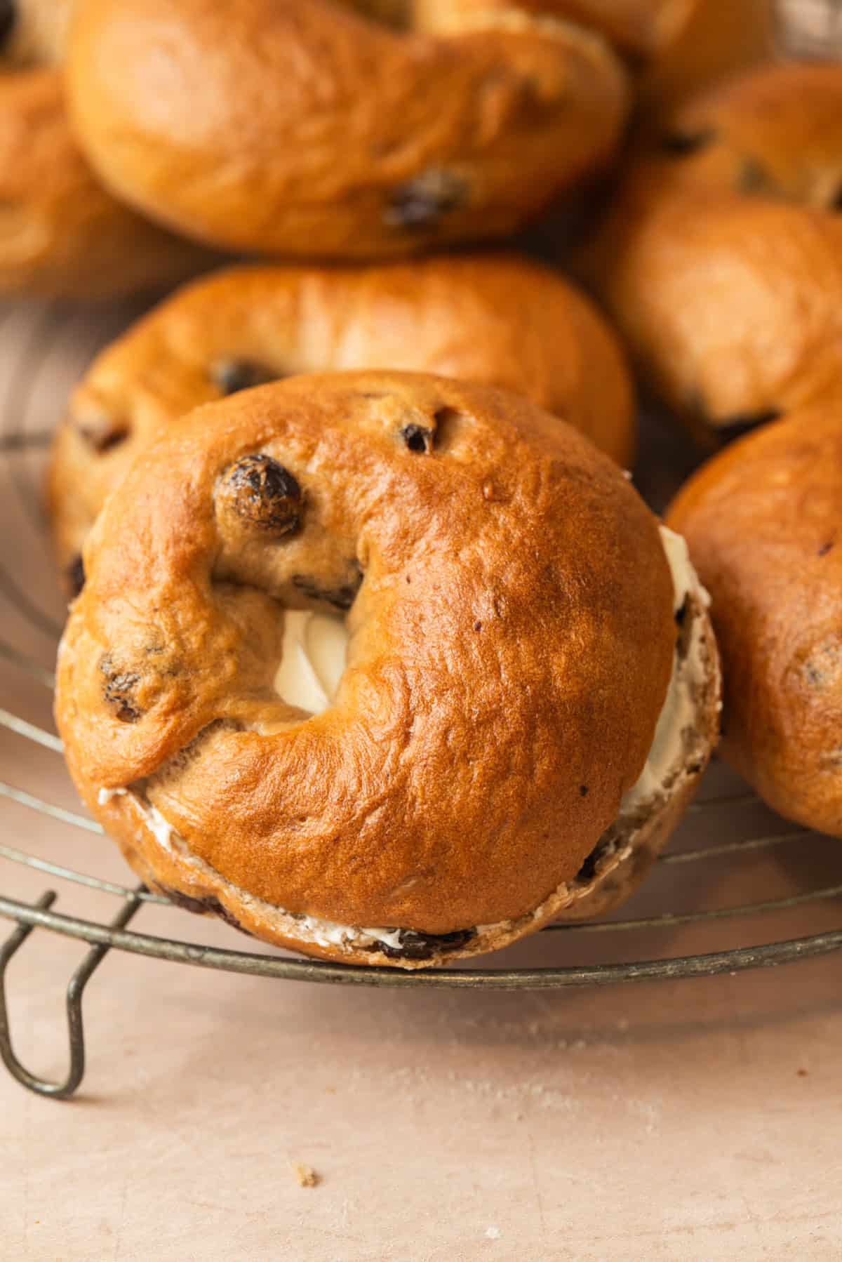 A close-up of a sliced cinnamon raisin bagel with cream cheese filling, resting on a metal cooling rack with more cinnamon raisin bagels in the background.