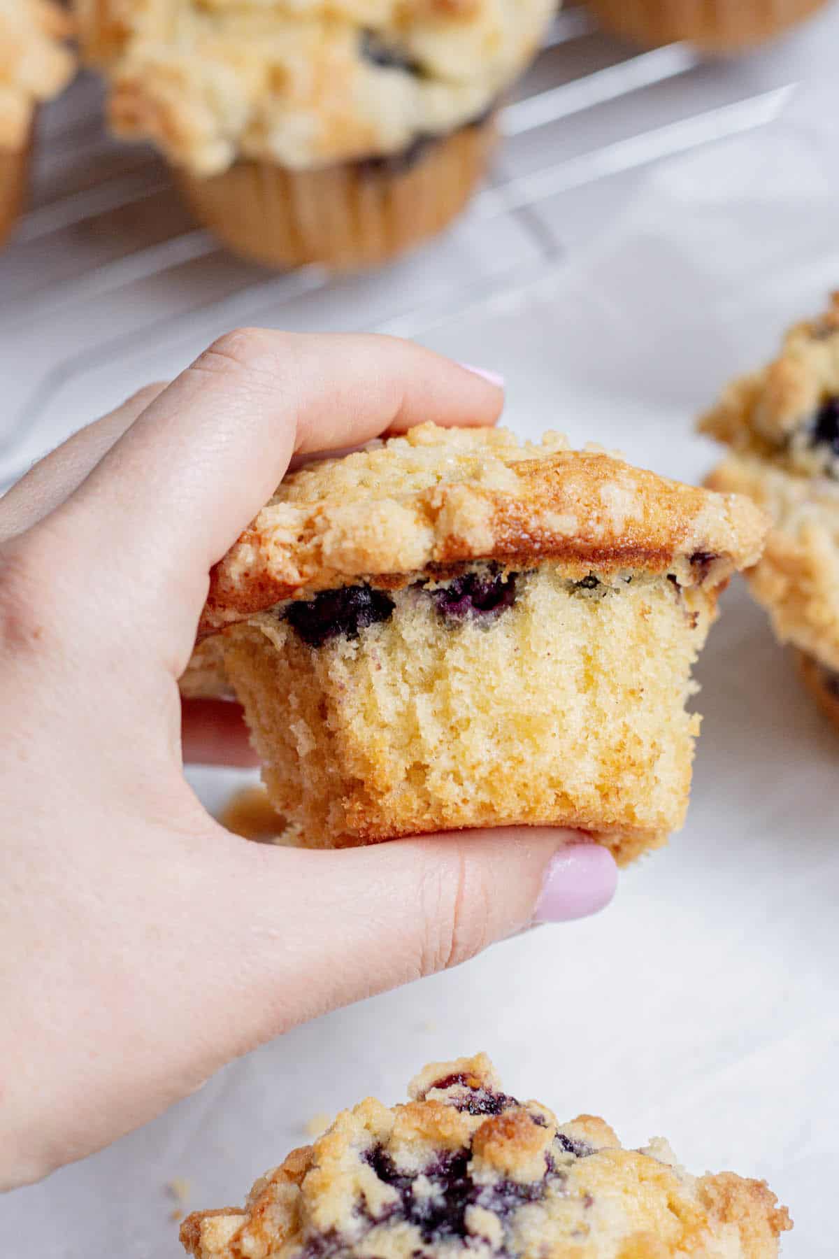 hand holding blueberry muffin.