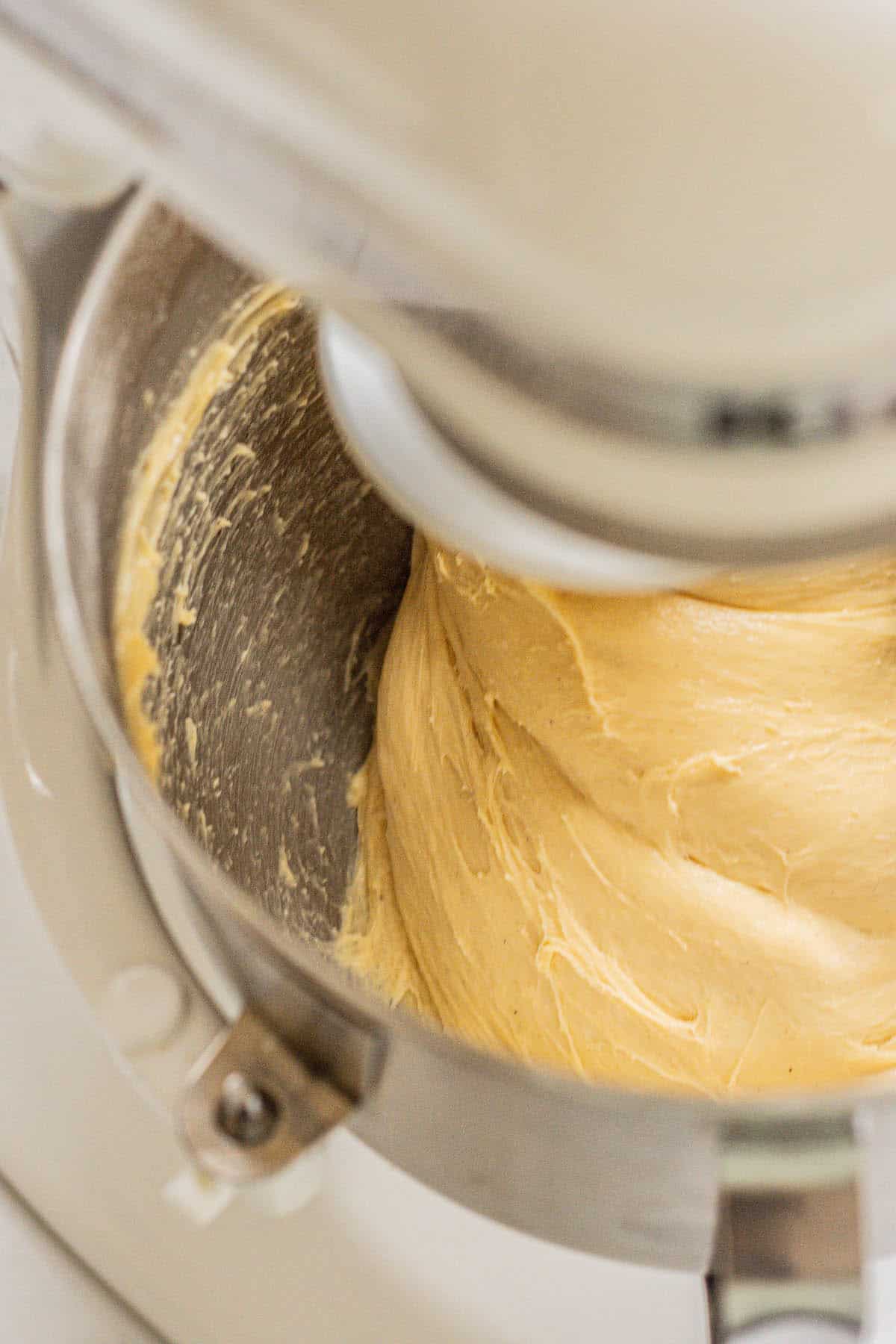 babka dough in mixer.