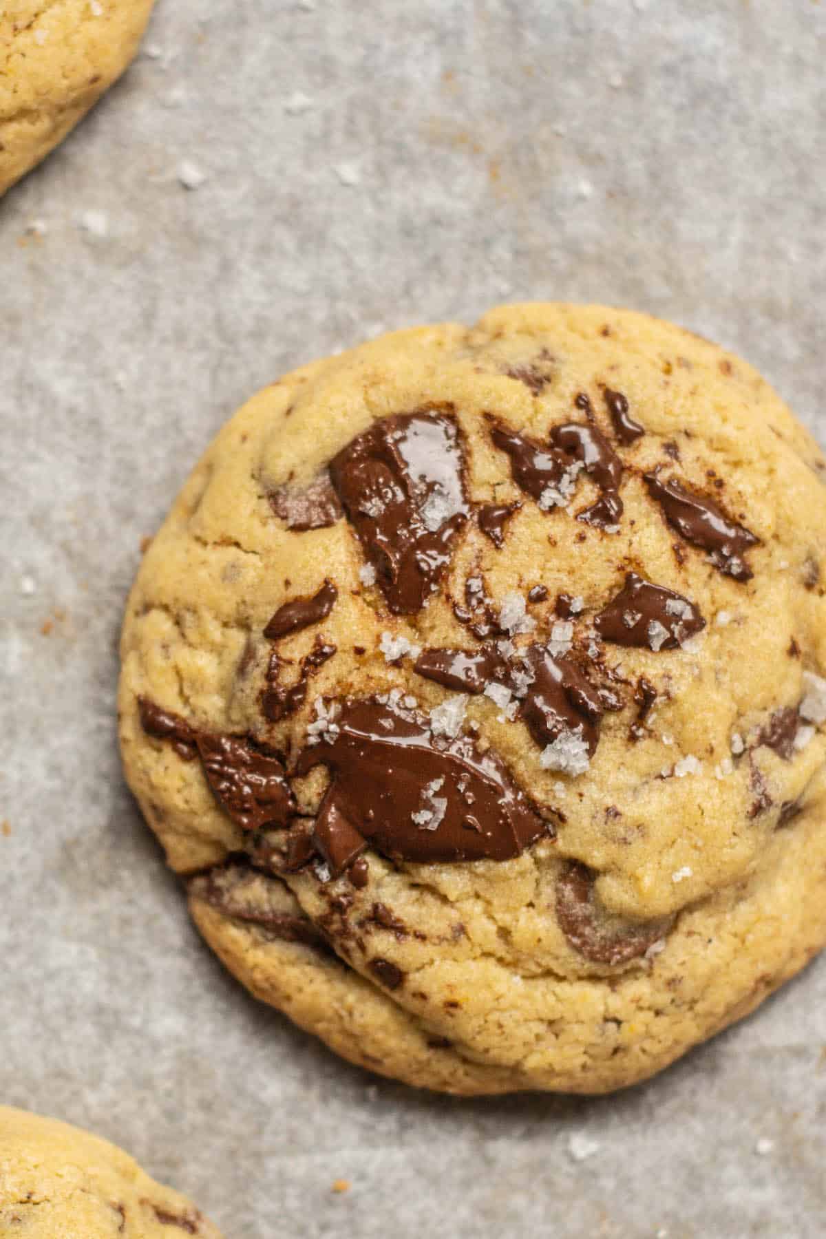 chocolate cookie with flaky salt.