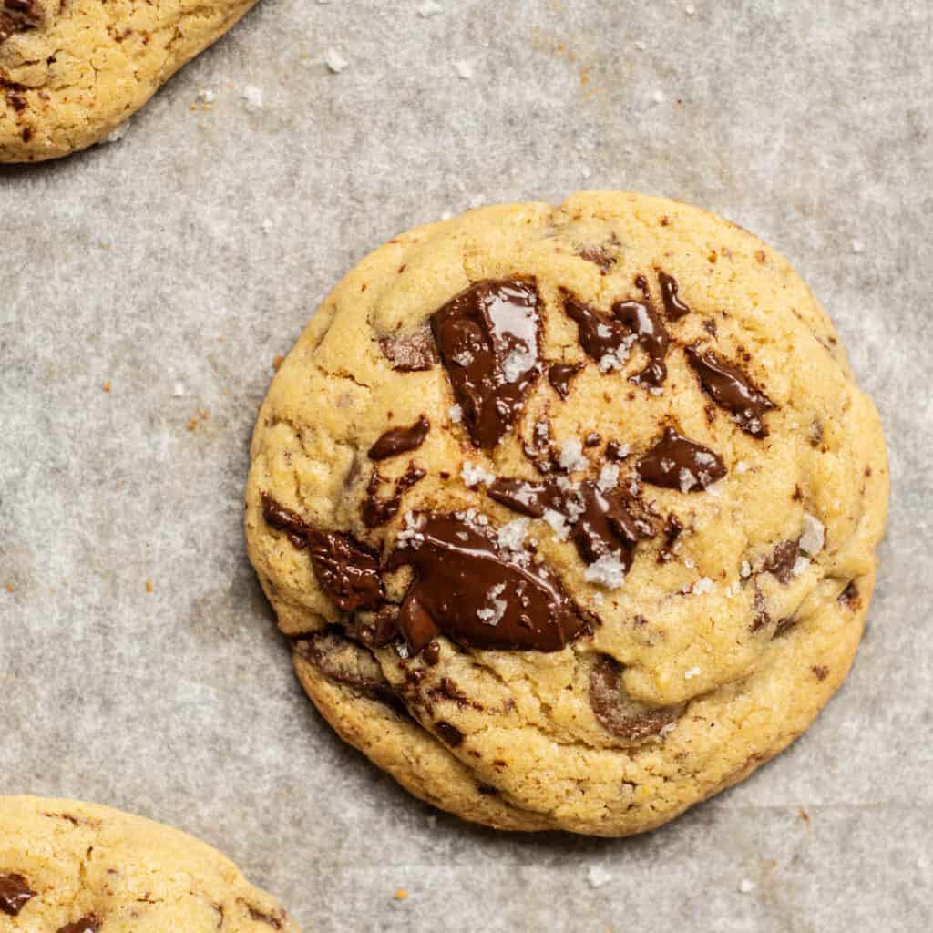 cookie with chocolate
