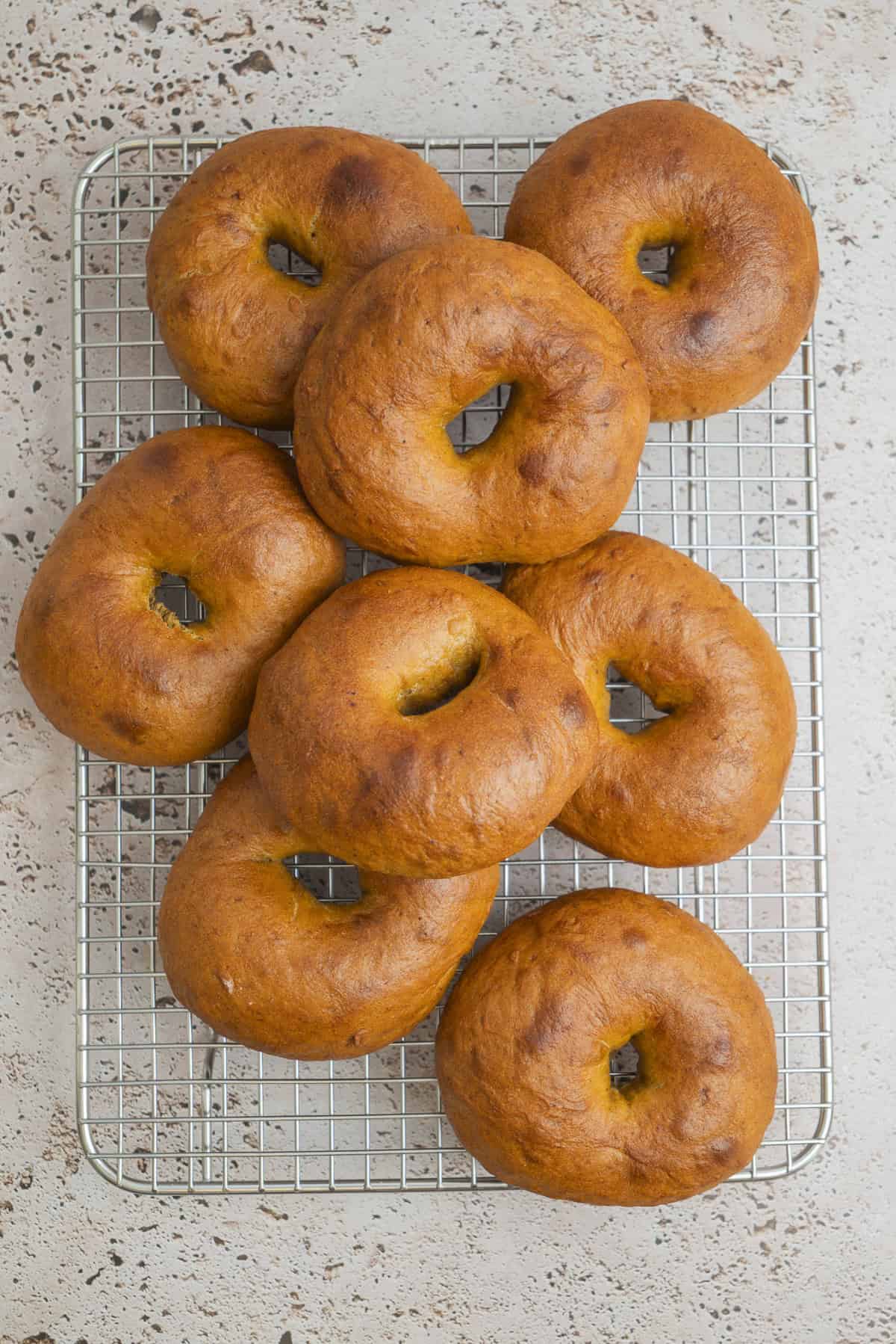 Eight golden-brown pumpkin bagels are arranged on a cooling rack placed on a speckled countertop. The bagels have a slightly glossy, smooth surface and are organized closely together.