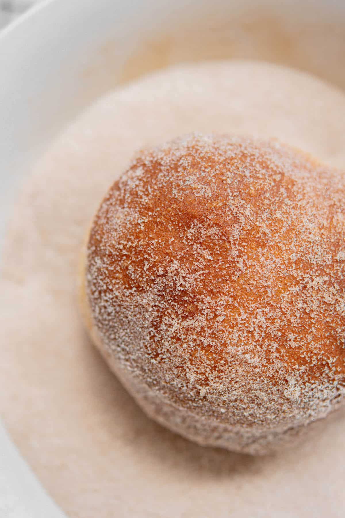 sugar coated fried doughnut.