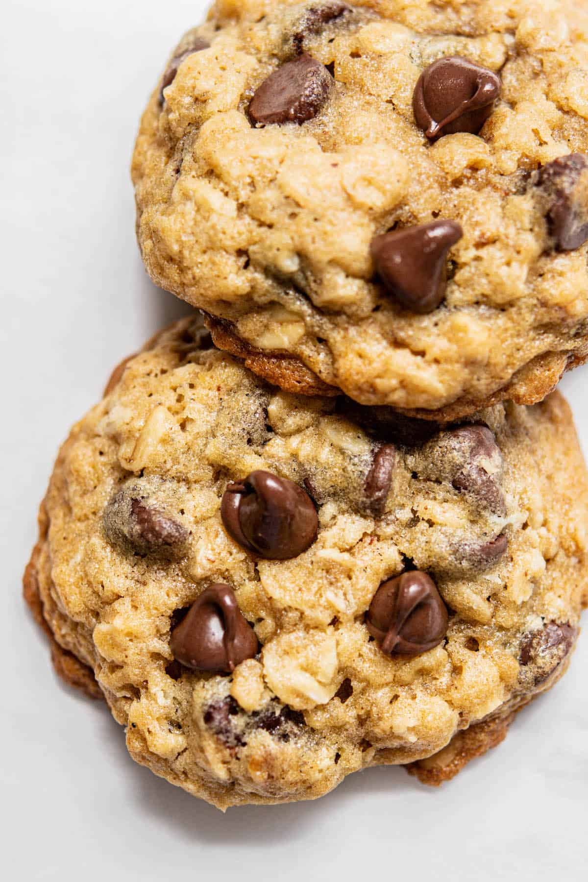 Sourdough oatmeal cookies chocolate chips