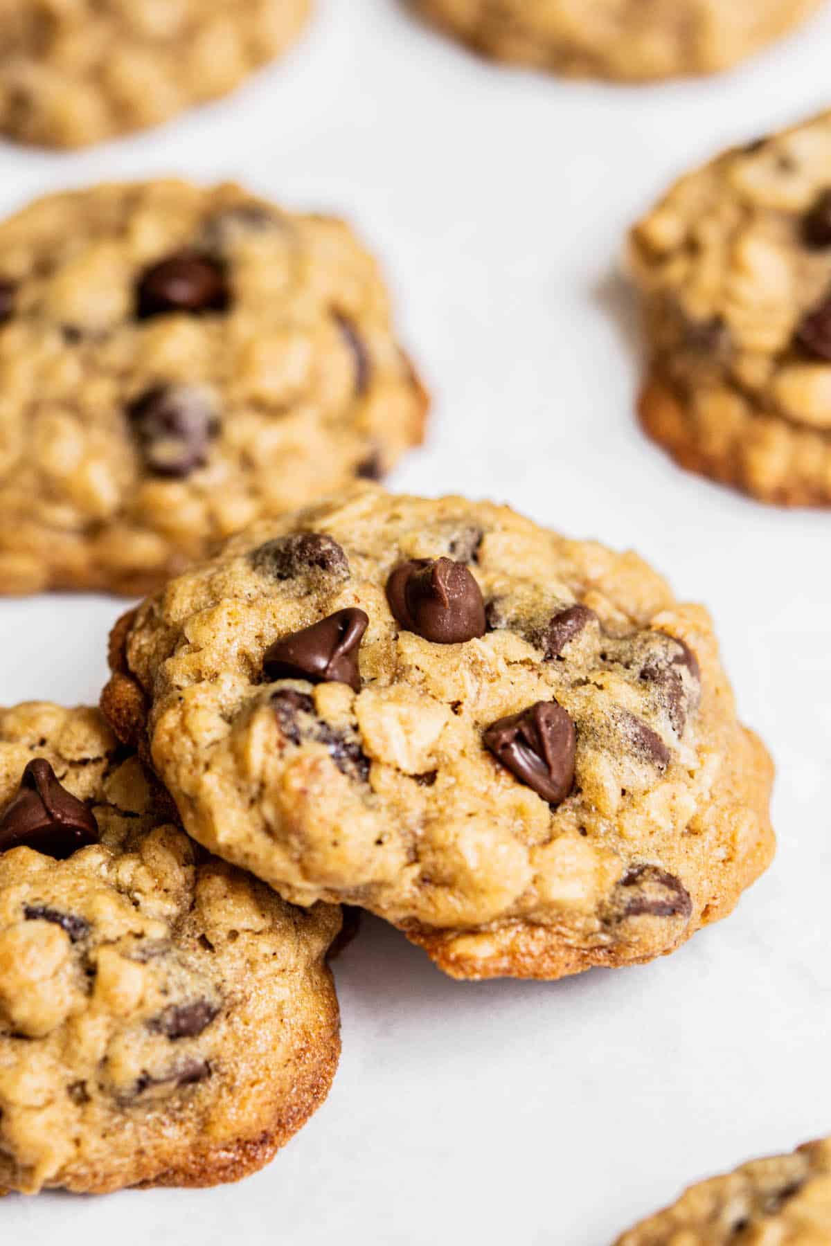 close up of sourdough oatmeal cookies with chocolate chips.