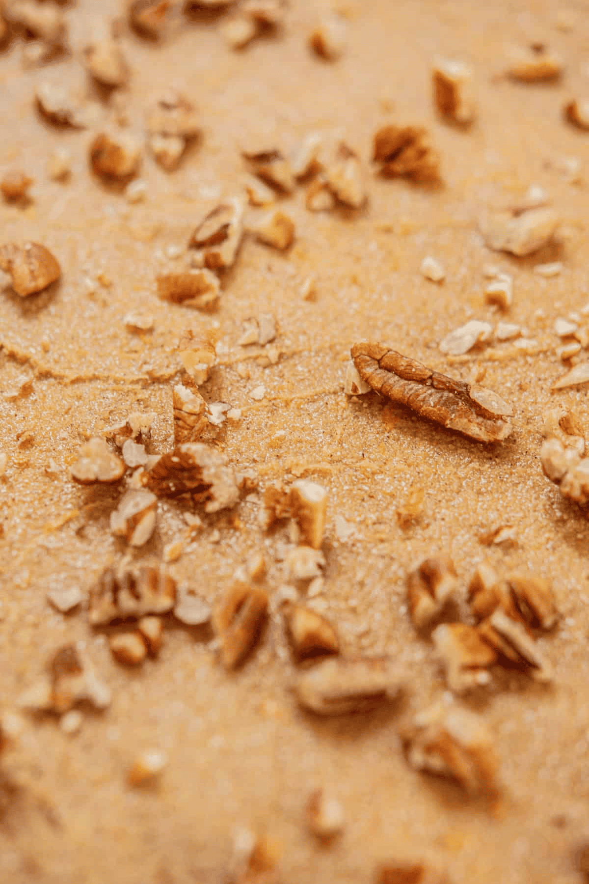 Close-up of chopped pecans scattered on a smooth, light brown surface, possibly pumpkin babka dough or a baked dessert.