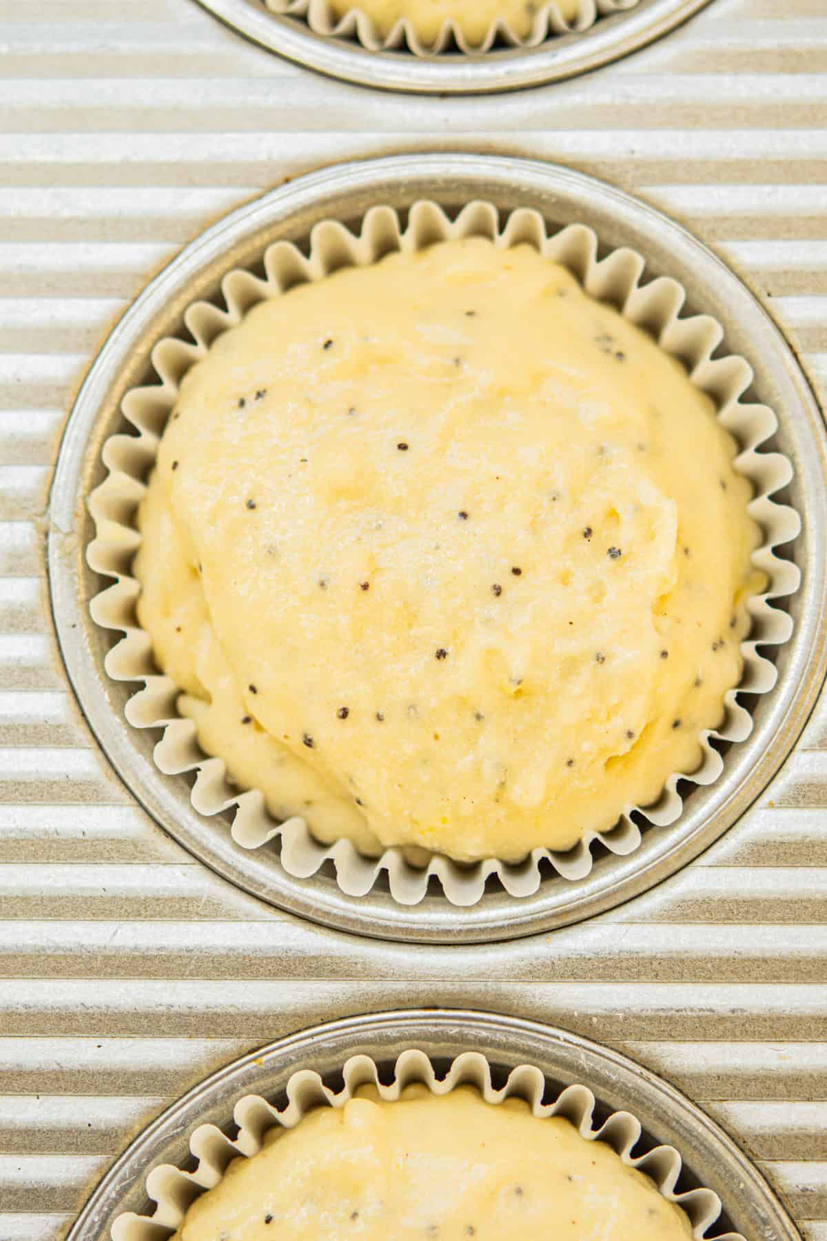Close-up of a muffin tray with paper liners filled with unbaked lemon poppy seed batter. The batter is pale yellow with visible poppy seeds.