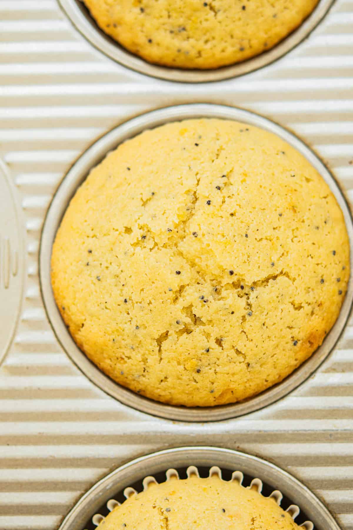 Close-up of freshly baked lemon poppy seed muffins in a metal muffin tray. The muffins are golden brown with a slightly cracked surface, speckled with small black poppy seeds.