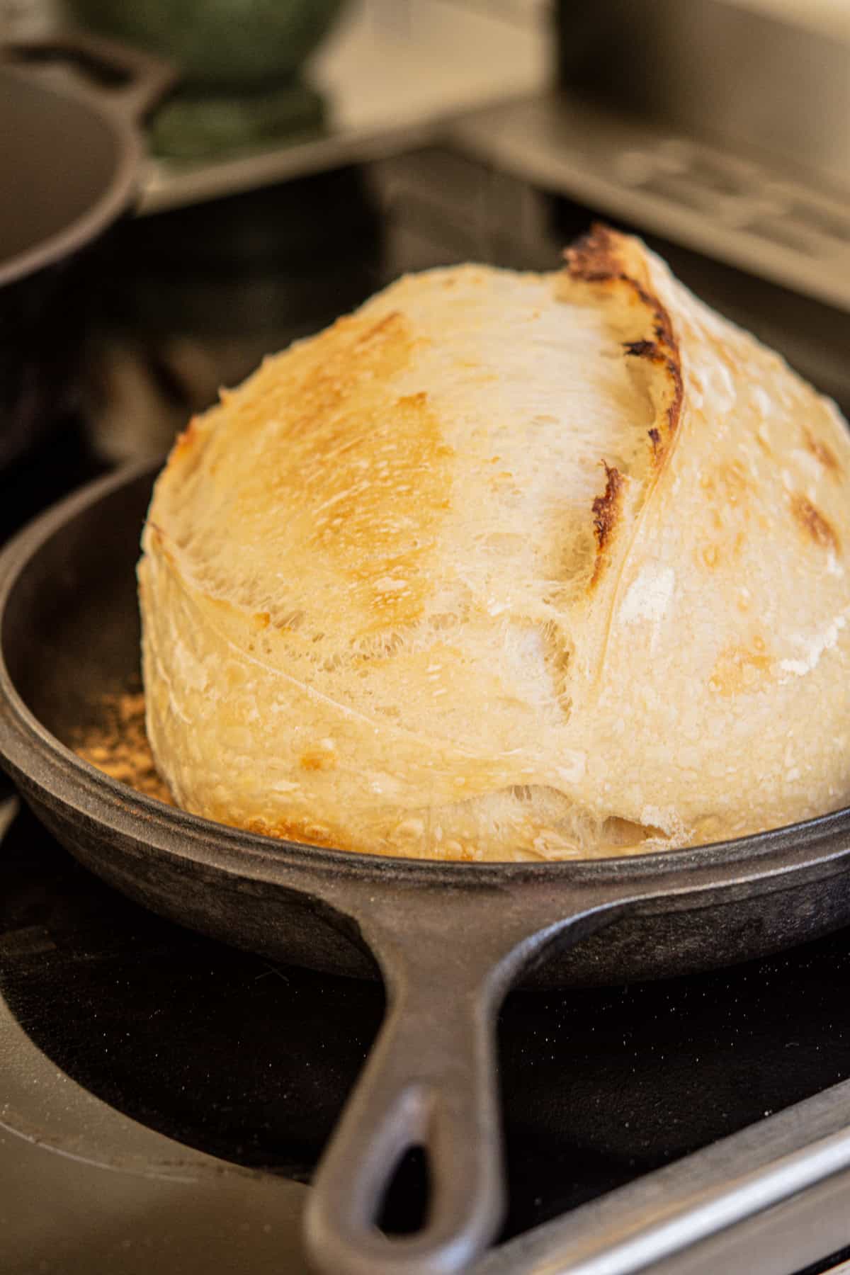 A round loaf of bread with a golden crust is baking in a cast iron skillet on a stovetop. The bread has a slightly cracked top, indicating a crunchy texture.
