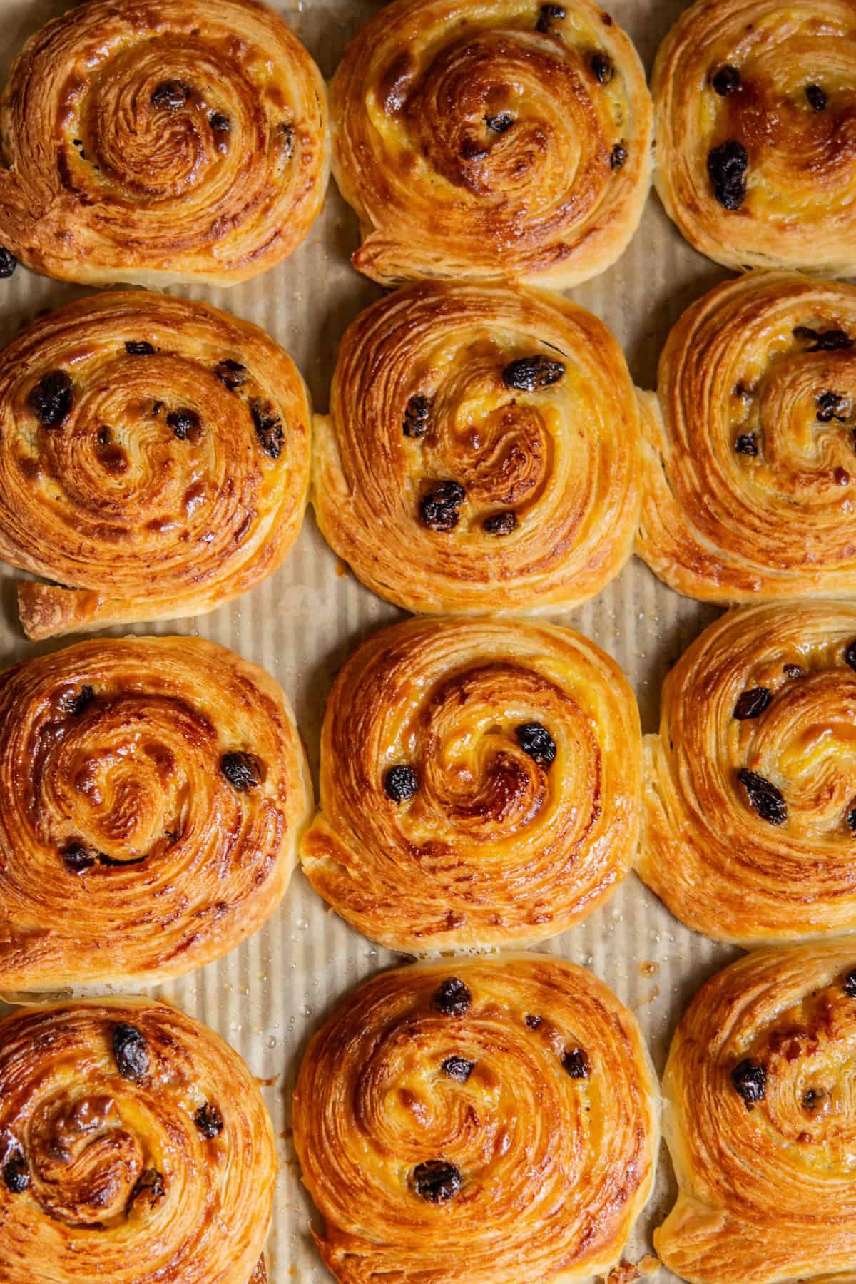 Golden-brown spiral pastries with raisins, arranged in rows on a baking sheet. They appear flaky and glistening as if freshly baked.