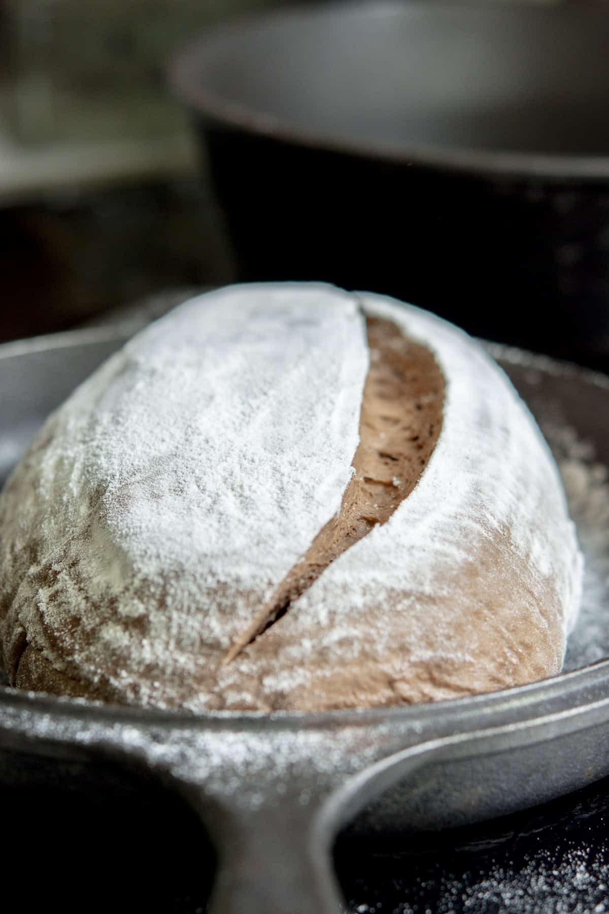 A loaf of rustic bread, dusted with flour and scored along the top, sits in a cast iron skillet, ready to be baked.