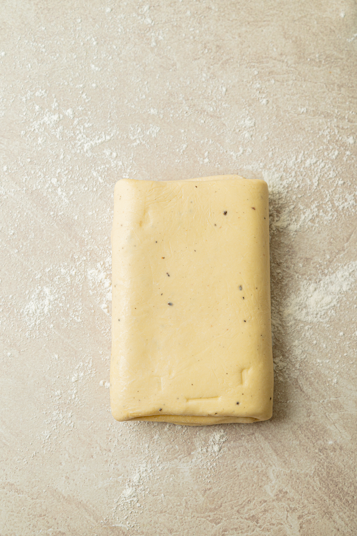 A rectangular slab of dough with visible flecks sits on a floured, light-colored surface.